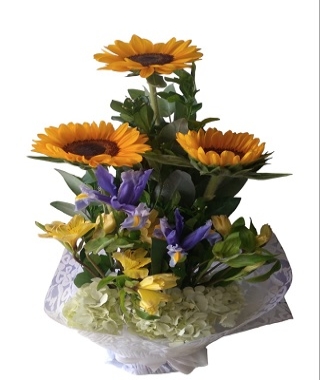 Arreglo de Girasoles