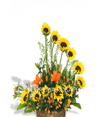 Arreglo de Girasol x