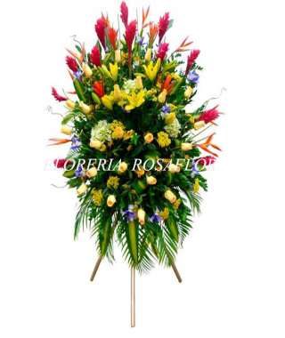 Arreglo Empresarial # 02