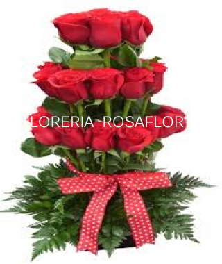 serenata de 24 rosas