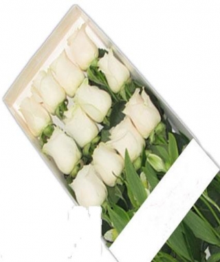 caja de 12 rosas blancas