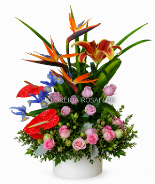 Arreglo floral  Exótica
