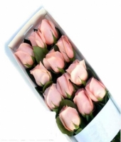 Caja de 12 rosas rosadas