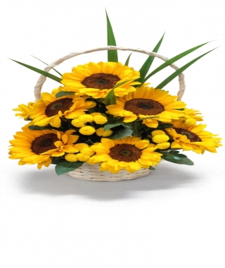 cesta amanancer