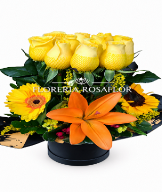 Box de girasol