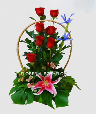 Sembrando en tu Corazon