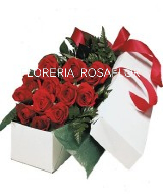 Caja de 12 Rosas premiun