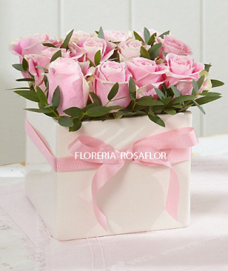 Box rosas rosadas