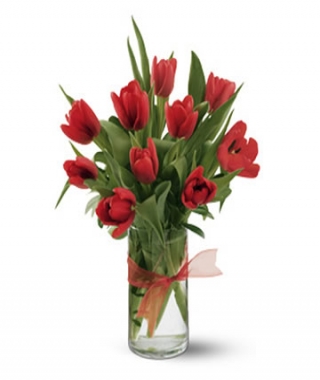 Arreglo Tulipan Rojo