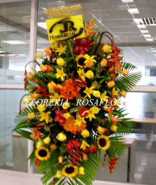 Tripole primaveral # 01