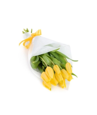 Ramo de10 tulipanes